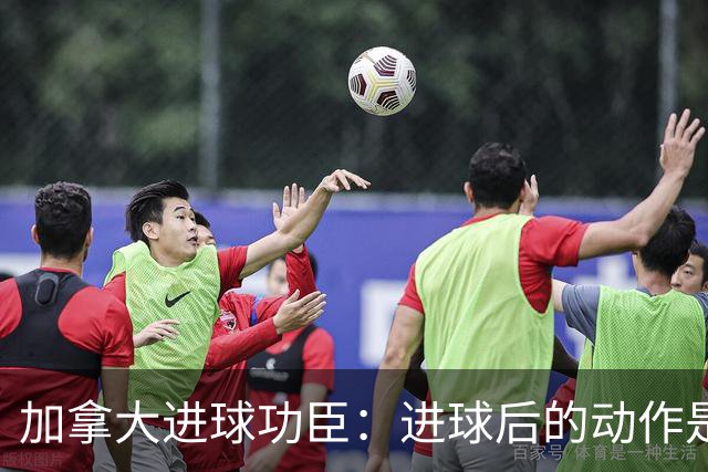 加拿大进球功臣：进球后的动作是给质疑我的媒体，他们可以闭嘴了